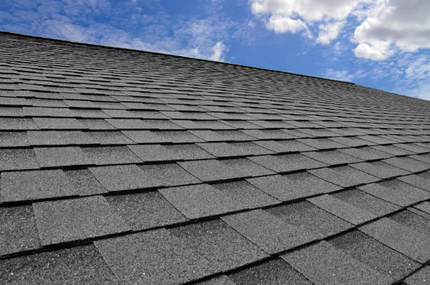 Best 4 Ply Roofing  in Elmo, TX