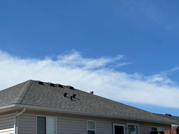 Hot Roofs in Elmo, TX